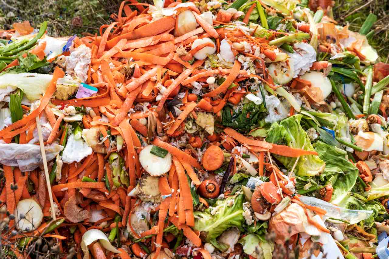 pile of food waste