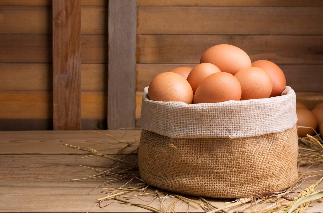 fresh organic chicken eggs